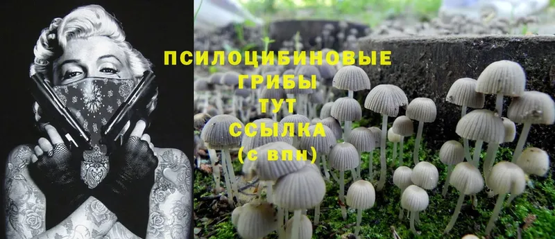 Галлюциногенные грибы Psilocybine cubensis  MEGA как войти  Лосино-Петровский 